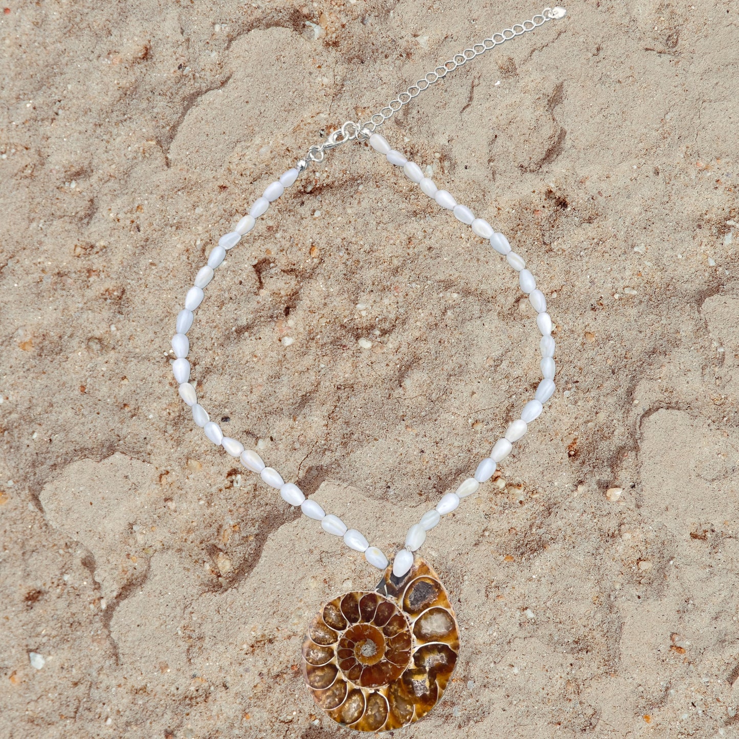 AMMONITE & SHELL - EARTHLY ESSENCE - NECKLACE